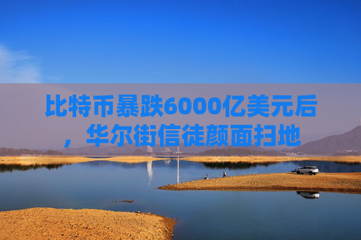 比特币暴跌6000亿美元后,华尔街信徒颜面扫地