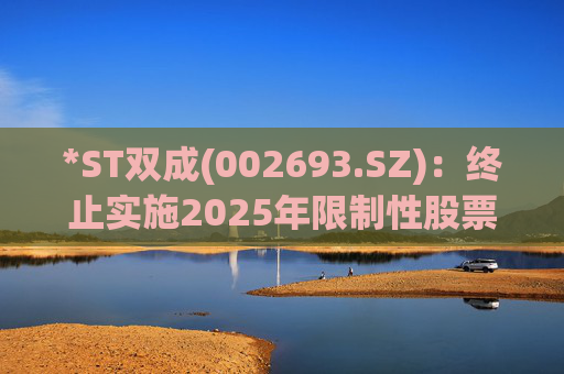 *ST双成(002693.SZ)：终止实施2025年限制性股票与股票期权激励计划