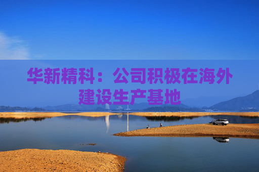 华新精科:公司积极在海外建设生产基地
