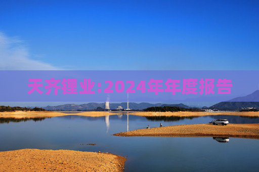 天齐锂业:2024年年度报告  第1张
