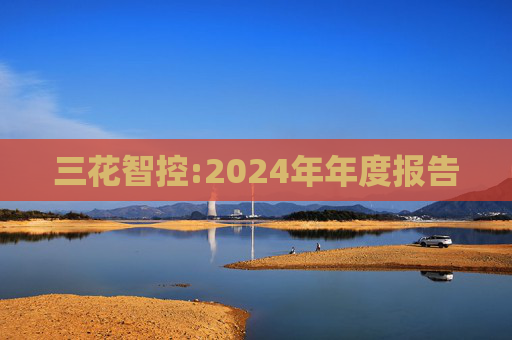 三花智控:2024年年度报告