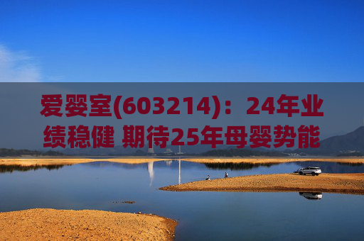 爱婴室(603214)：24年业绩稳健 期待25年母婴势能及万代门店加速