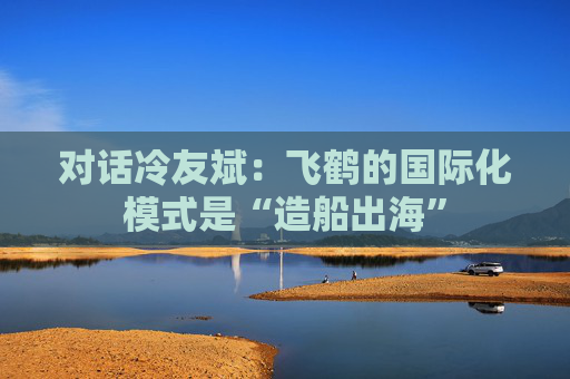 对话冷友斌：飞鹤的国际化模式是“造船出海”