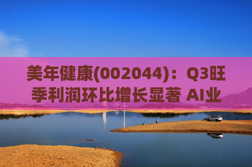美年健康(002044):Q3旺季利润环比增长显著 AI业务持续高增长 第1张 美年健康(002044):Q3旺季利润环比增长显著 AI业务持续高增长 第1张