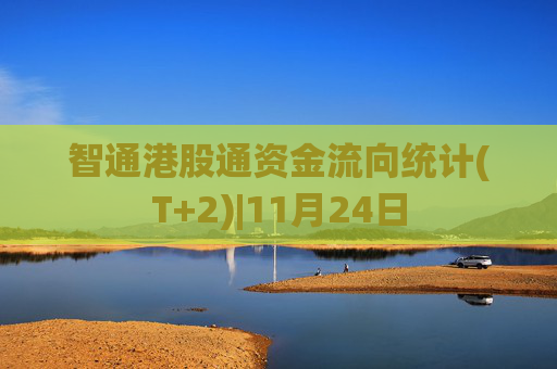 智通港股通资金流向统计(T+2)|11月24日