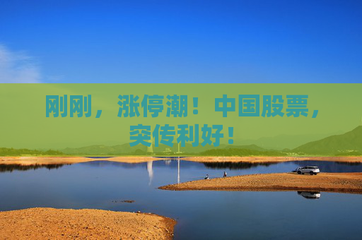 刚刚,涨停潮!中国股票,突传利好!