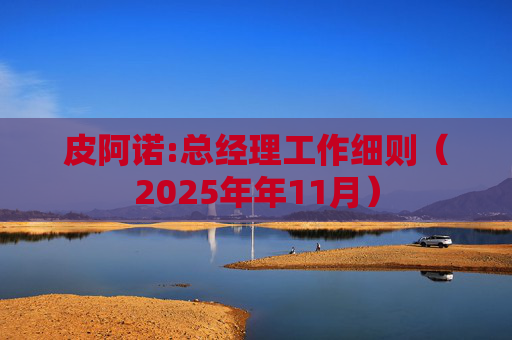 皮阿诺:总经理工作细则（2025年年11月）