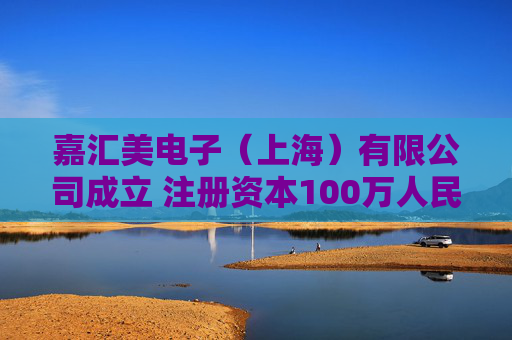 嘉汇美电子(上海)有限公司成立 注册资本100万人民币