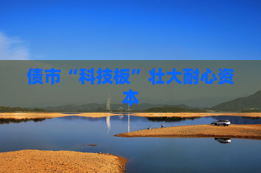 债市“科技板”壮大耐心资本