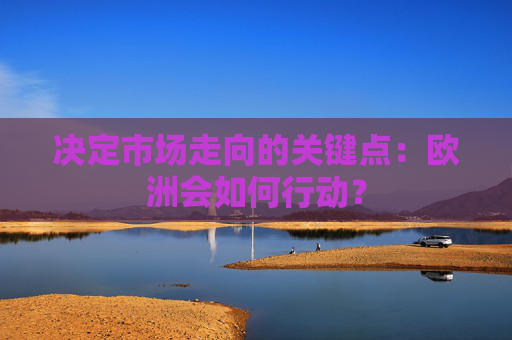 决定市场走向的关键点：欧洲会如何行动？  第1张