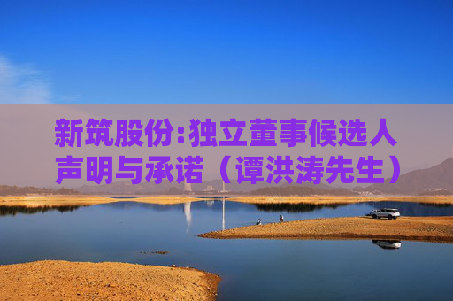 新筑股份:独立董事候选人声明与承诺（谭洪涛先生）