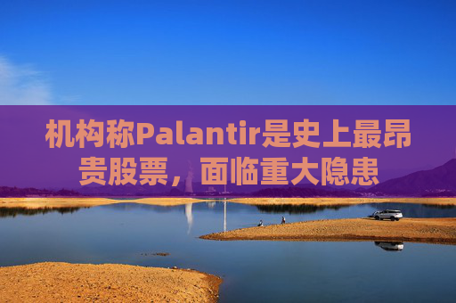 机构称Palantir是史上最昂贵股票，面临重大隐患