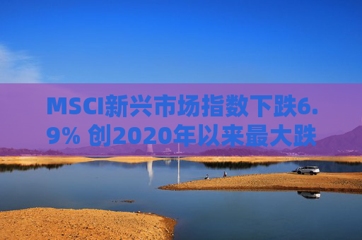 MSCI新兴市场指数下跌6.9% 创2020年以来最大跌幅  第1张