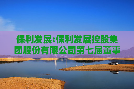 保利发展:保利发展控股集团股份有限公司第七届董事会第十三次会议决议公告