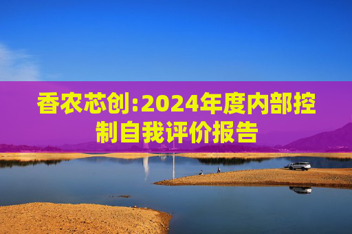 香农芯创:2024年度内部控制自我评价报告