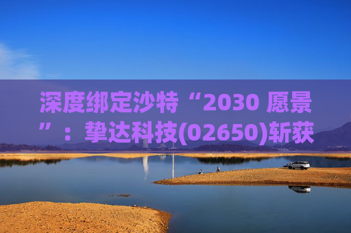 深度绑定沙特“2030 愿景”:挚达科技(02650)斩获超亿元充电桩大单! 第1张 深度绑定沙特“2030 愿景”:挚达科技(02650)斩获超亿元充电桩大单! 第1张