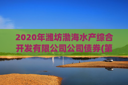 2020年潍坊渤海水产综合开发有限公司公司债券(第二期)2025年债券回售实施的第二次提示性公告