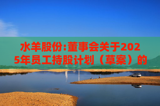 水羊股份:董事会关于2025年员工持股计划（草案）的合规性说明
