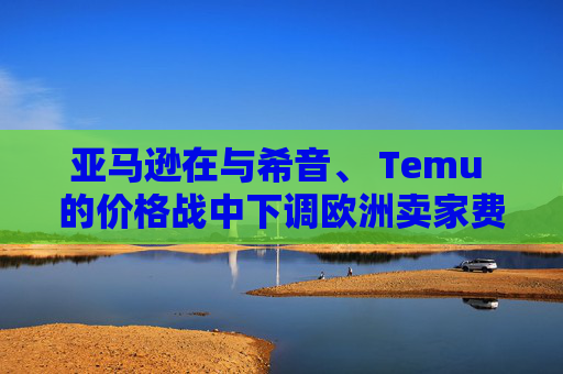 亚马逊在与希音、 Temu 的价格战中下调欧洲卖家费用