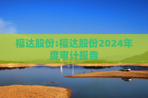 福达股份:福达股份2024年度审计报告