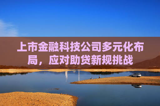 上市金融科技公司多元化布局，应对助贷新规挑战