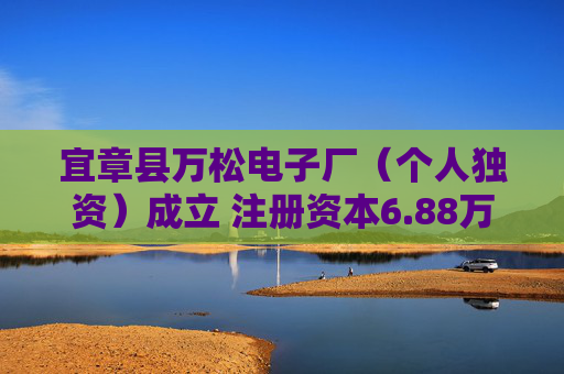 宜章县万松电子厂（个人独资）成立 注册资本6.88万人民币  第1张