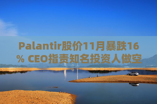 Palantir股价11月暴跌16% CEO指责知名投资人做空