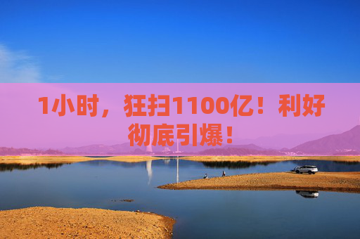 1小时,狂扫1100亿!利好彻底引爆!