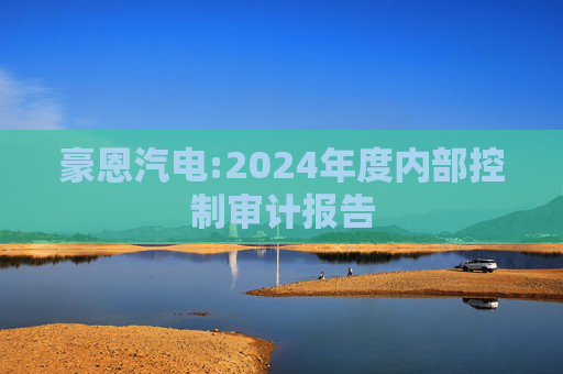 豪恩汽电:2024年度内部控制审计报告