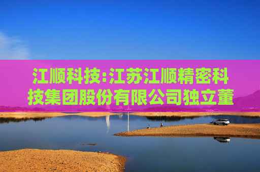 江顺科技:江苏江顺精密科技集团股份有限公司独立董事提名人声明与承诺
