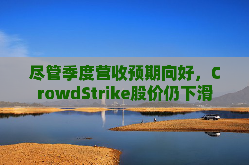 尽管季度营收预期向好,CrowdStrike股价仍下滑