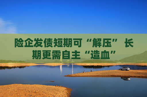 险企发债短期可“解压” 长期更需自主“造血” 第1张 险企发债短期可“解压” 长期更需自主“造血” 第1张