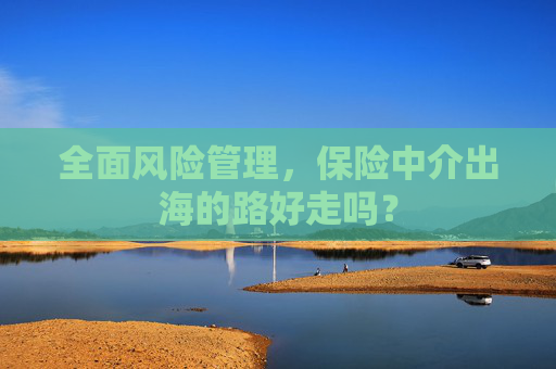 全面风险管理，保险中介出海的路好走吗？
