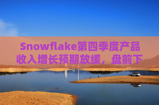 Snowflake第四季度产品收入增长预期放缓,盘前下跌8%