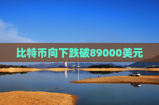 比特币向下跌破89000美元