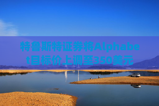 特鲁斯特证券将Alphabet目标价上调至350美元