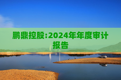 鹏鼎控股:2024年年度审计报告