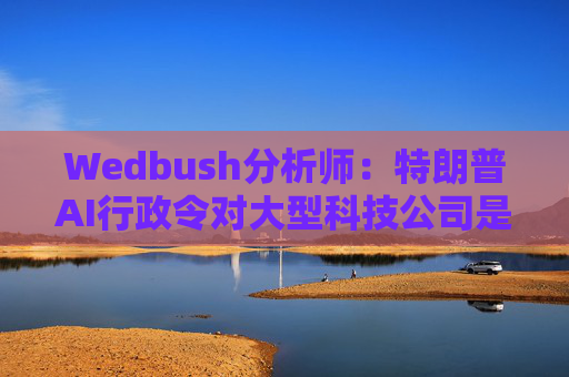 Wedbush分析师:特朗普AI行政令对大型科技公司是重大利好