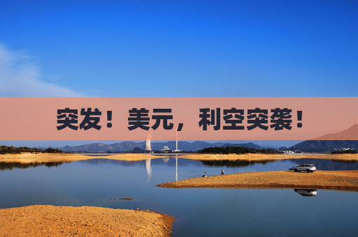 突发！美元，利空突袭！