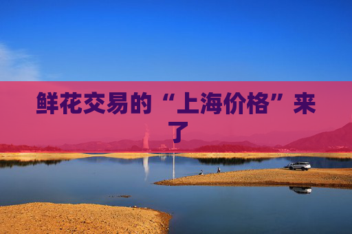 鲜花交易的“上海价格”来了