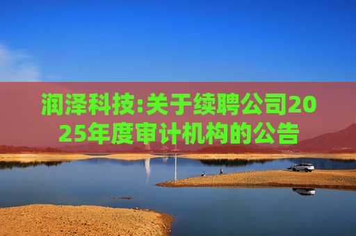 润泽科技:关于续聘公司2025年度审计机构的公告