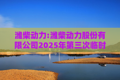 潍柴动力:潍柴动力股份有限公司2025年第三次临时董事会会议决议公告  第1张