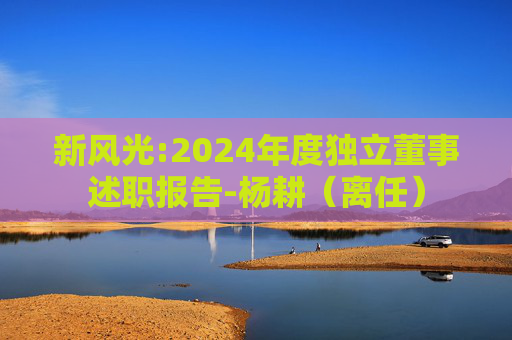 新风光:2024年度独立董事述职报告-杨耕（离任）