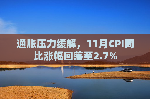 通胀压力缓解,11月CPI同比涨幅回落至2.7%