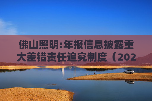 佛山照明:年报信息披露重大差错责任追究制度（2025年修订）