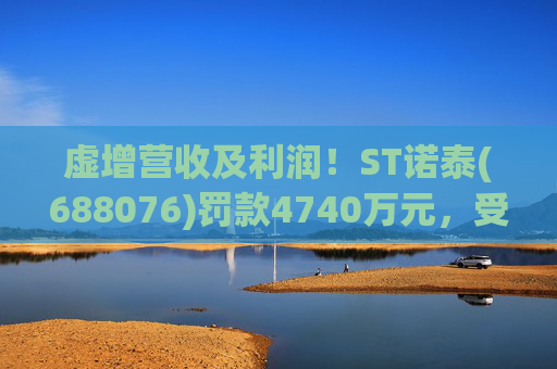 虚增营收及利润!ST诺泰(688076)罚款4740万元,受损投资者可索赔!
