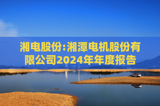 湘电股份:湘潭电机股份有限公司2024年年度报告