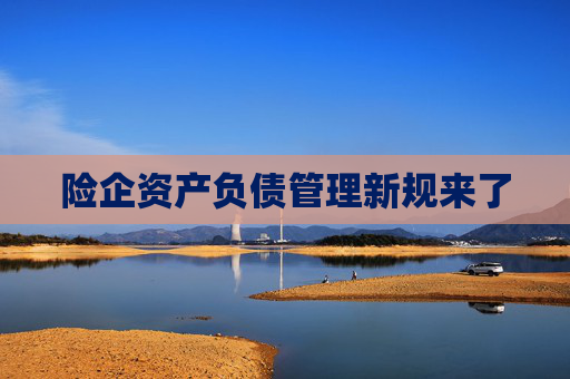 险企资产负债管理新规来了