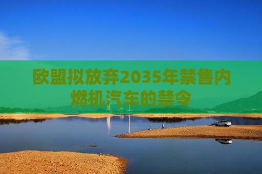 欧盟拟放弃2035年禁售内燃机汽车的禁令
