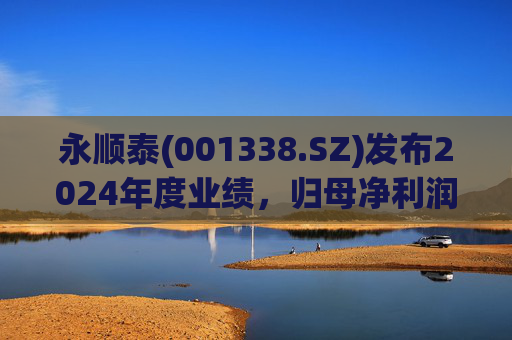 永顺泰(001338.SZ)发布2024年度业绩,归母净利润2.99亿元,增长72.5% 第1张 永顺泰(001338.SZ)发布2024年度业绩,归母净利润2.99亿元,增长72.5% 第1张